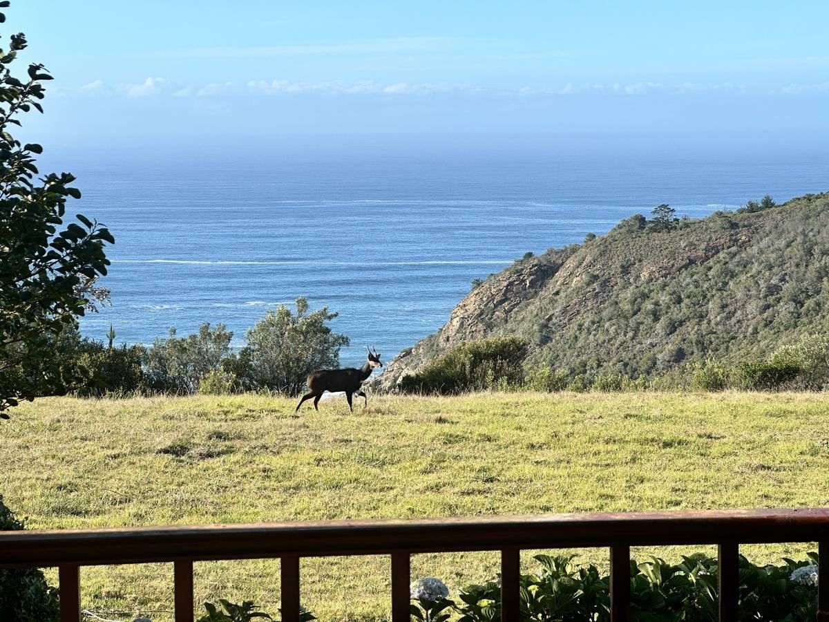 The Garden Route's landscape is shared by everyone who lives here